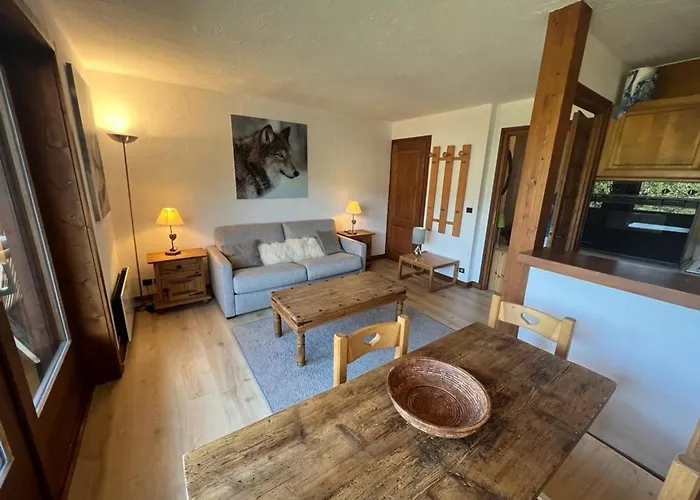 Apartman Cosy A - Animaux Admis - Fr-1-453-82 *